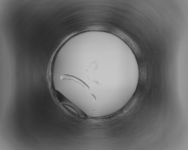 X0000102310852200808221445