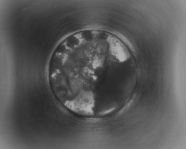 X0000102310854200808221445