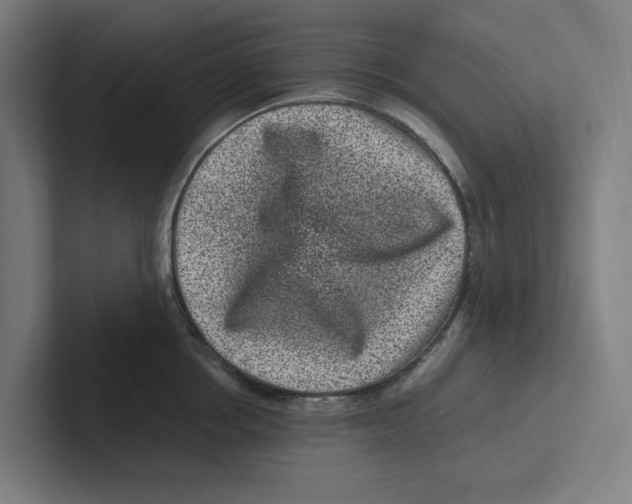 X0000102310858200808221445