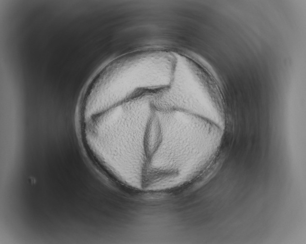 X0000102310859200808221445