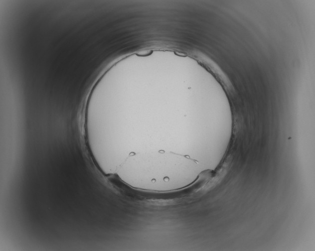 X0000102310860200808221445