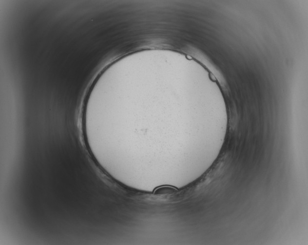 X0000102310861200808221445