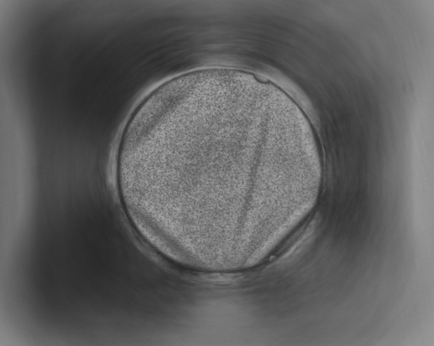 X0000102310862200808221445