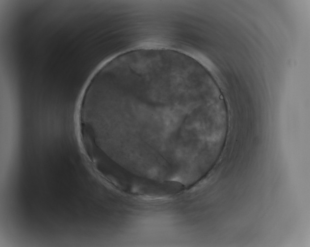 X0000102310864200808221445