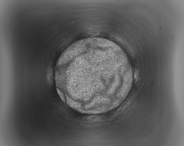 X0000102310867200808221444