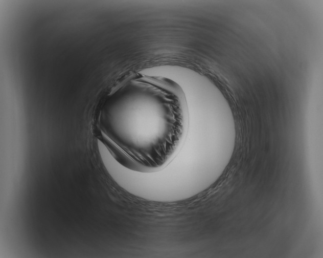 X0000102310868200808221444