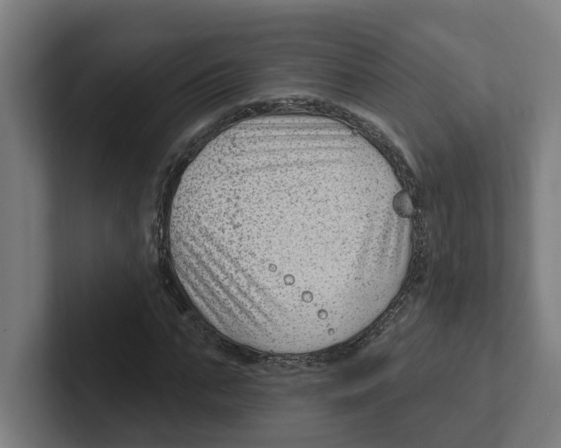 X0000102310871200808221444