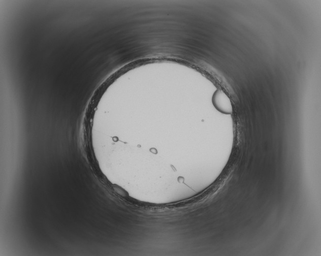 X0000102310876200808221444