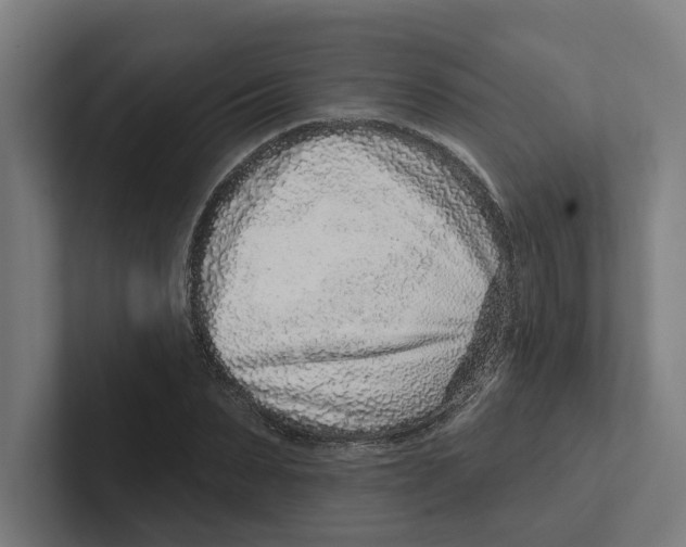 X0000102310879200808221444