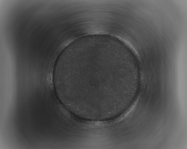 X0000102310881200808221444