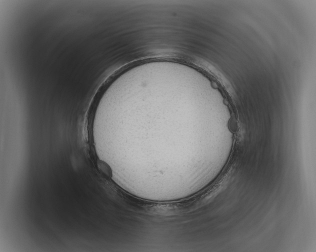 X0000102310883200808221444