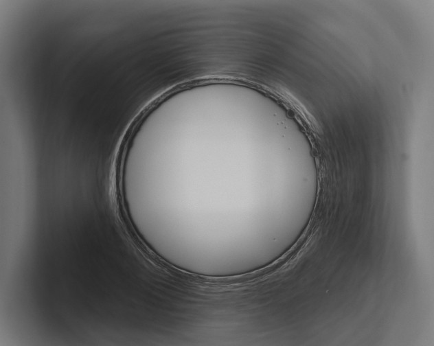 X0000102310884200808221444
