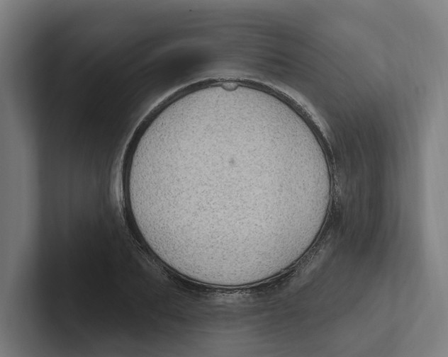 X0000102310887200808221444