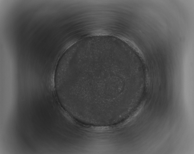 X0000102310889200808221444