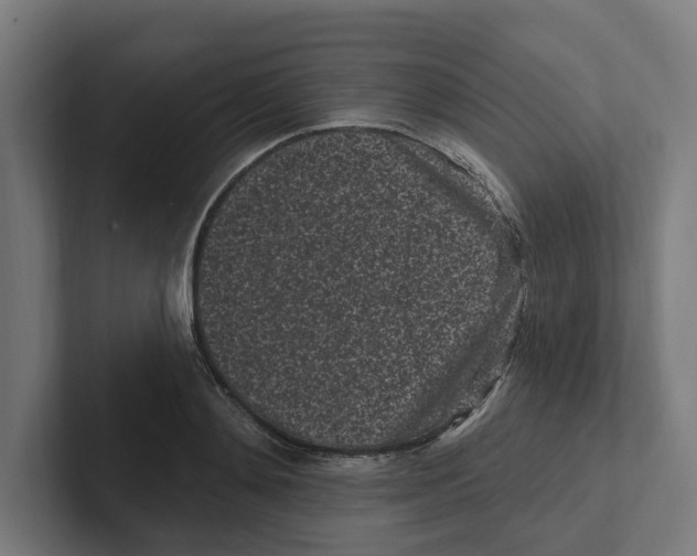 X0000102310892200808221444