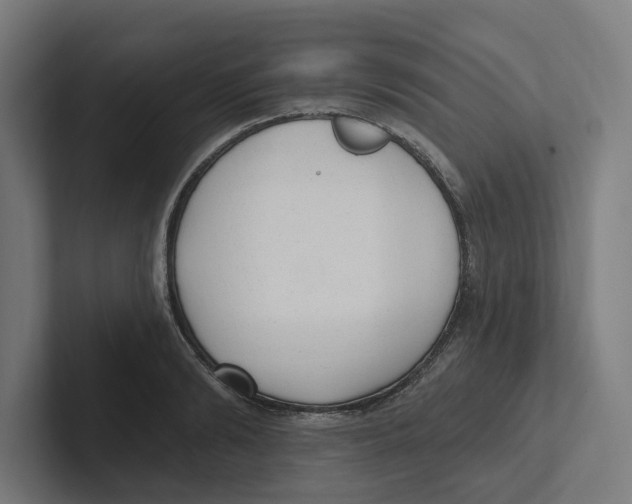 X0000102310894200808221444