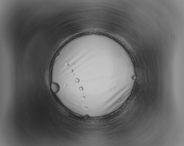 X0000102310895200808221444