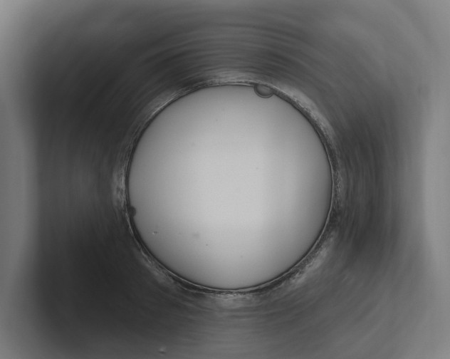 X0000102310897200808221444