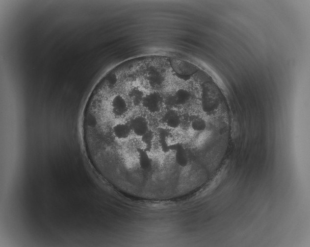 X0000102310899200808221444