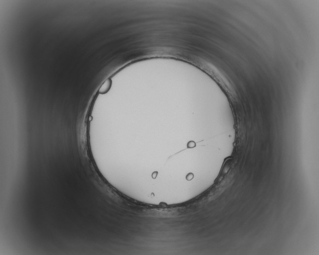 X0000102310900200808221444