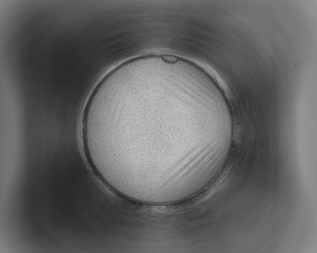 X0000102310903200808221444