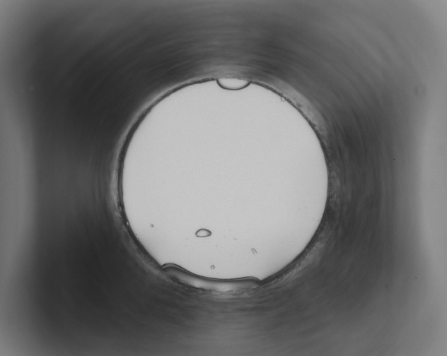 X0000102310904200808221444
