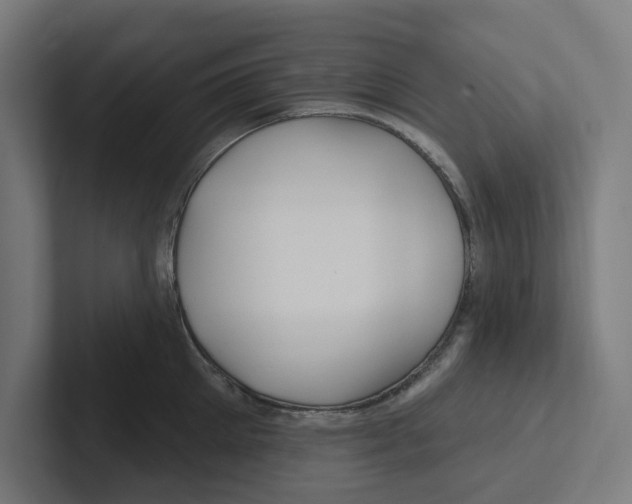 X0000102310905200808221444