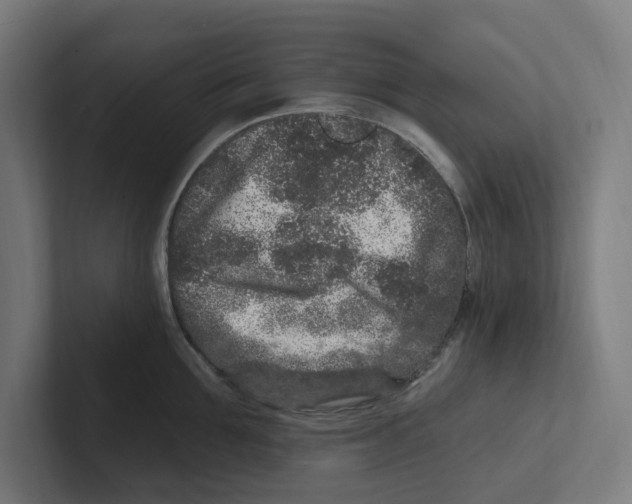X0000102310907200808221444