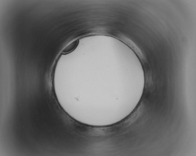 X0000102310908200808221444