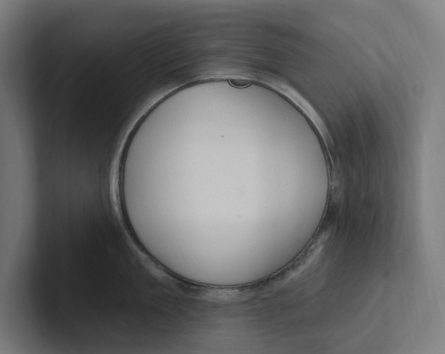 X0000102310909200808221444