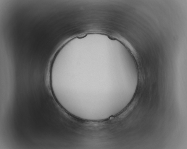 X0000102310910200808221444