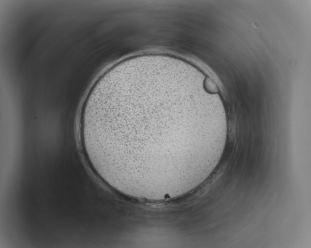 X0000102310911200808221444