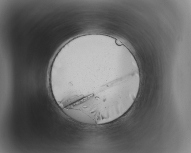 X0000102310912200808221444