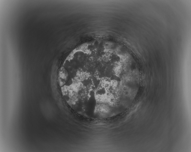 X0000102310913200808221443