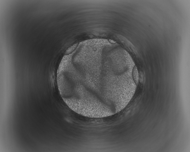 X0000102310915200808221443