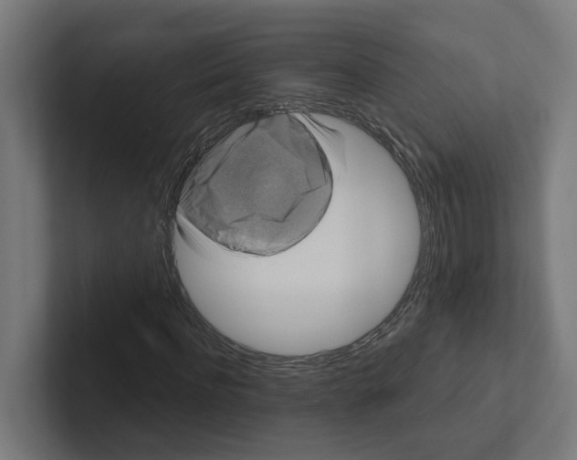 X0000102310916200808221443