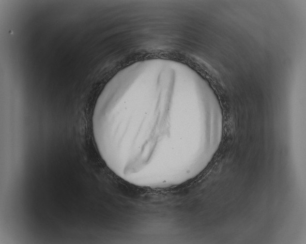 X0000102310917200808221443
