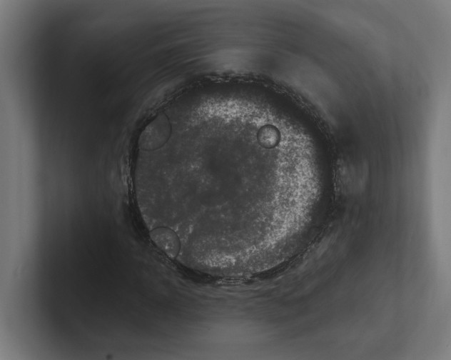 X0000102310918200808221443