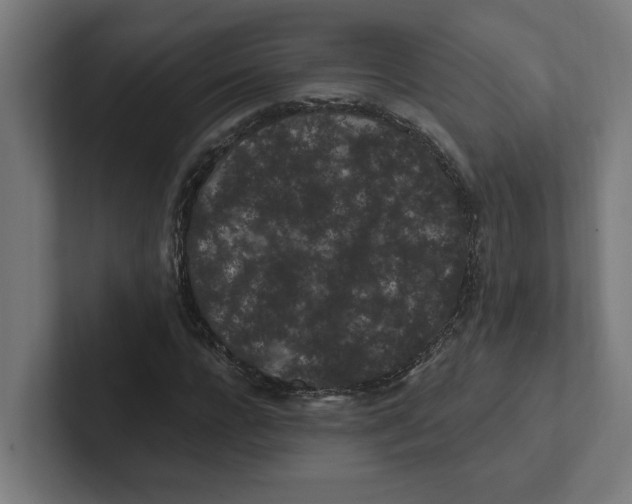 X0000102310920200808221443