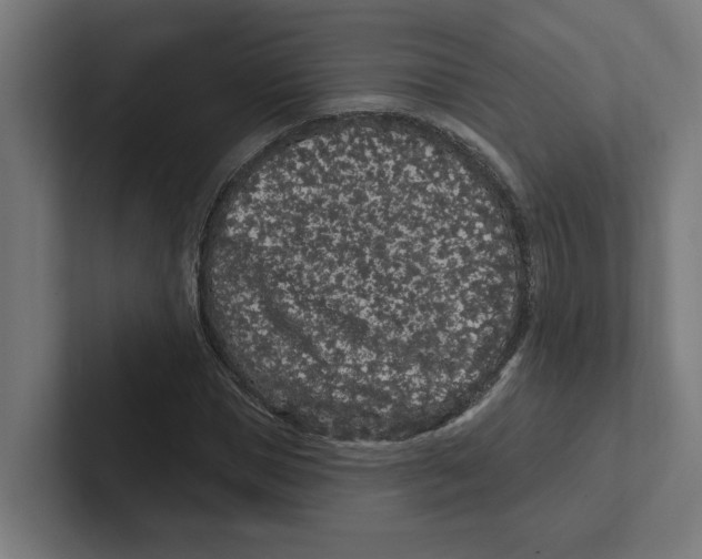 X0000102310921200808221443