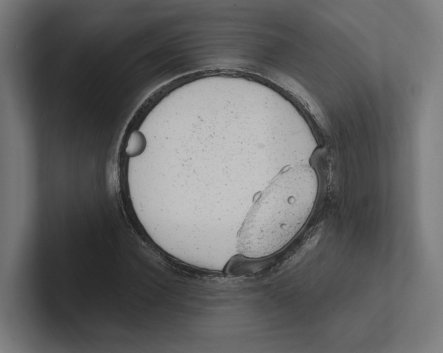 X0000102310924200808221443