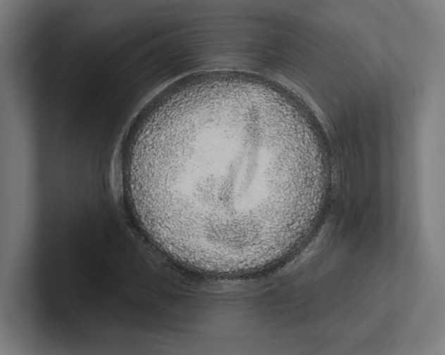 X0000102310925200808221443