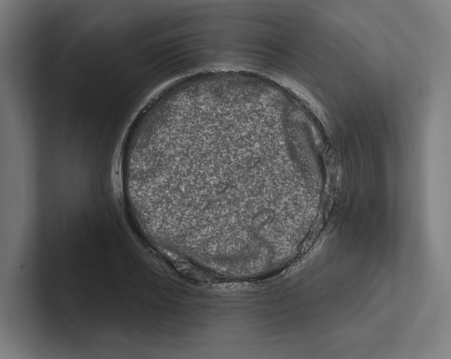 X0000102310934200808221443
