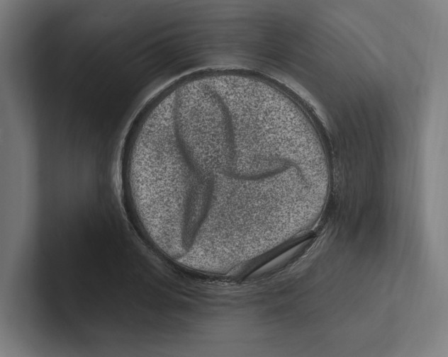 X0000102310935200808221443