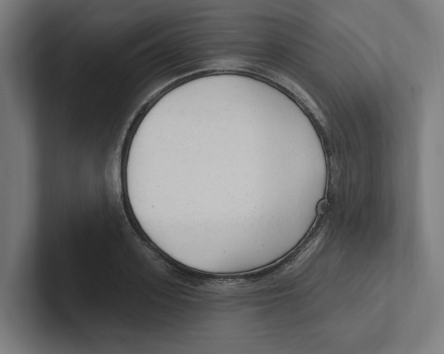 X0000102310939200808221443