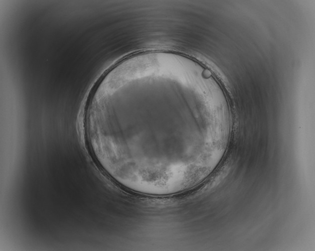 X0000102310941200808221443