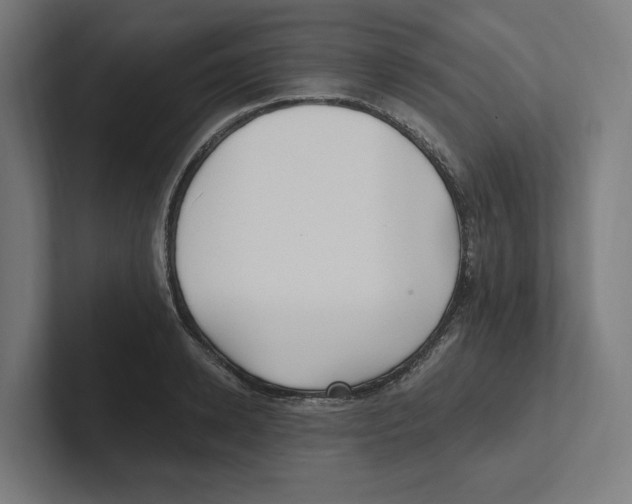 X0000102310942200808221443