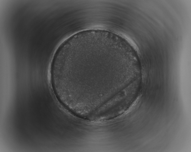 X0000102310944200808221443
