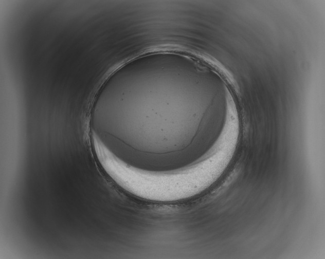 X0000102310945200808221443