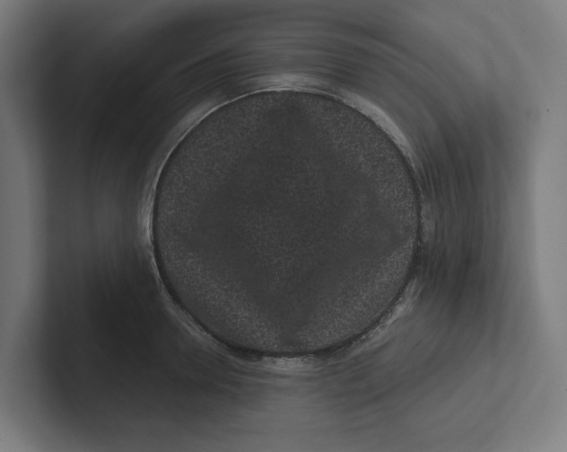X0000102310946200808221443